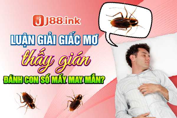 giac mo thay gian